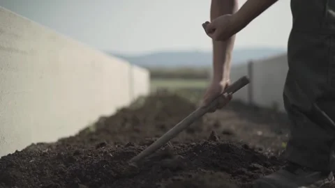 Man working plowing the land to make worm substrate Stock Footage 278271954