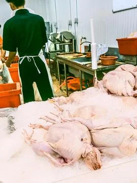 A man is working in a raw chicken processing area Stock Photos