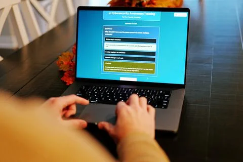 Man Working Remote -IT Security Awareness Training 写真素材