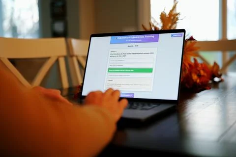 Man Working Remote -IT Security Awareness Training Foto stock