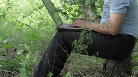 Man working remotely with laptop on the nature Stock Footage 63843475