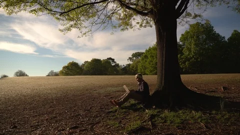 Man Working Remotely In The Park Using Laptop - 89 스톡 동영상 106274095