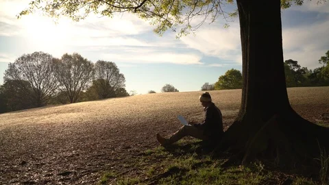 Man Working Remotely In The Park Using Laptop - 92 Video stock 106274139
