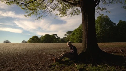 Man Working Remotely In The Park Using Laptop - 93 Video stock 106274151