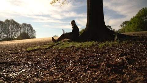 Man Working Remotely In The Park Using Laptop - 95 Stock Footage 106274196