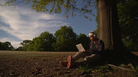 Man Working Remotely In The Park Using Laptop - 99 Video stock 106274239