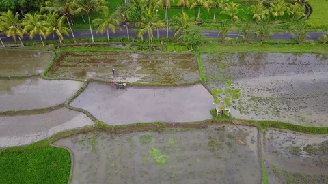 Man is working on rice field with a tractor 動画素材 74813543