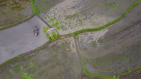 Man is working on rice field with a tractor 動画素材 74813955