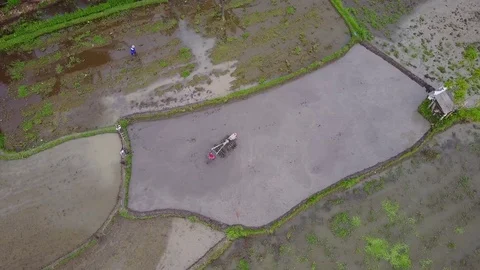 Man working on rice fields 動画素材 74812834