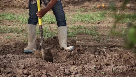 Man working with a shovel Stock Footage 82589958