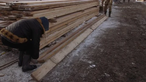 Man working at stacks of packed timber planks stored in yard of sawmill Stockbeeldmateriaal 152025044