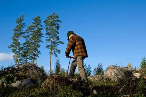 Man working with tree planting Stock Photos