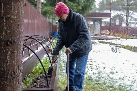 Man Working in Winter Garden Bed Foto stock