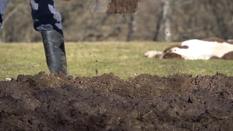  man works the earth with shovel 스톡 동영상 123799814