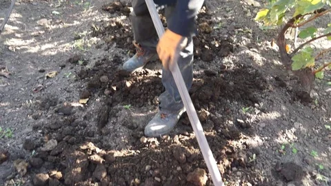 The man works as a hand tool. He distributes humus on the ground. Vídeo Stock 99794681
