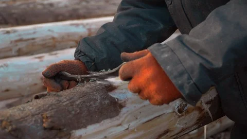A man works as a hand tool, processes a tree by clearing it from the bark Stock Footage 89604791