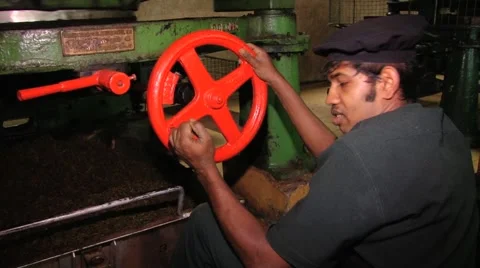 Man works with the old tea cutting machine in Nuwara Eliya, Sri Lanka. Stock Footage 64193344