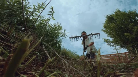A man works with a rake, weeding the grass with a rake Stock Footage 311375811