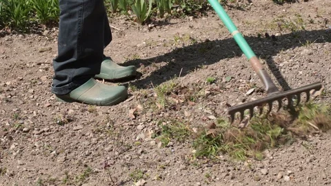 Man works in vegetable garden Vidéo 130052942