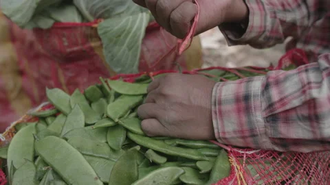Man wrapping a Bag of Green Beans, Bangladesh Stock Footage 142043409