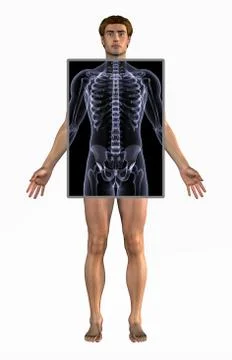 Man with X-Ray Stock Illustration