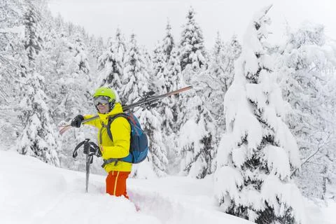 Man in yellow with blue backpack skiing stay with many firs around and soft p Stock Photos
