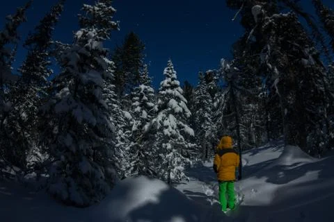 The man in the yellow jacket in winter forest among the trees in Stock Photos