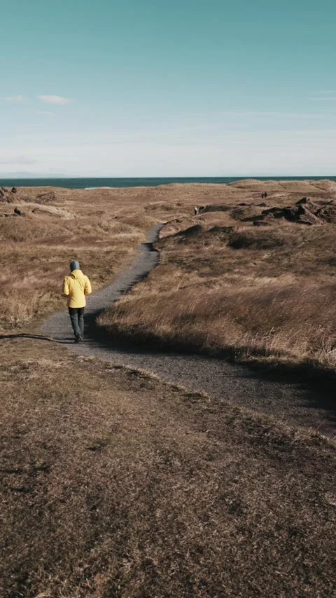 Man in yellow tweed jacket strolls along a path in an idyllic coastal meadow. 스톡 동영상 255122702