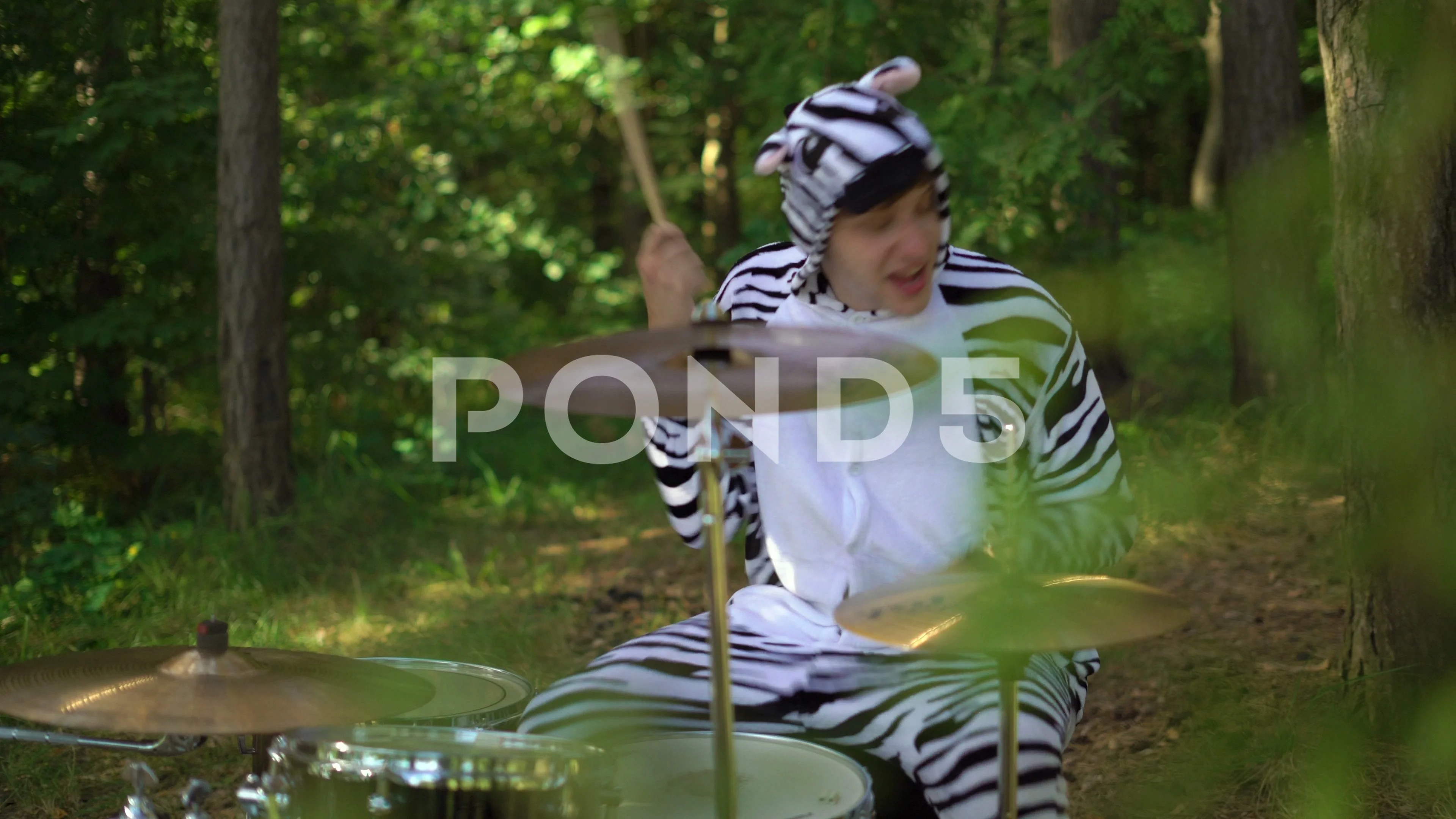 Zebra drums deals