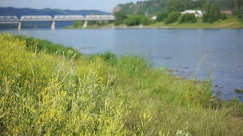 Mana river road bridge 06 Stock Footage 40093092