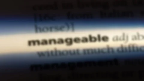 Manageable word in a dictionary. Stock Footage 99563303