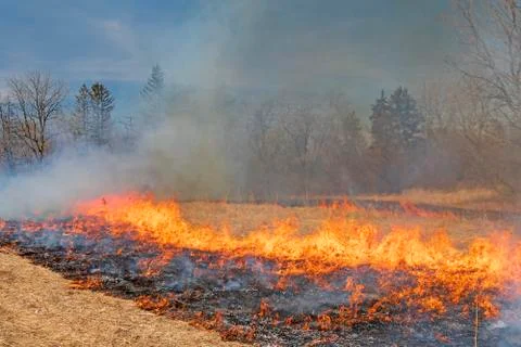Managed Fire Burning into the Center Photos