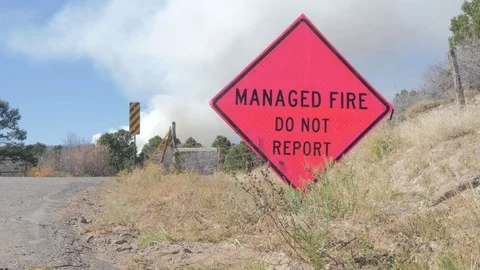 Managed Fire Do Not Report Sign Near a Control Burn Forest Fire. Stock Footage 81086546