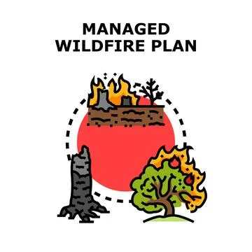 Managed wildfire plan controlling ecological forest fire Stock Illustration