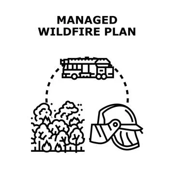 Managed wildfire plan preventing forest fire disaster Stock Illustration