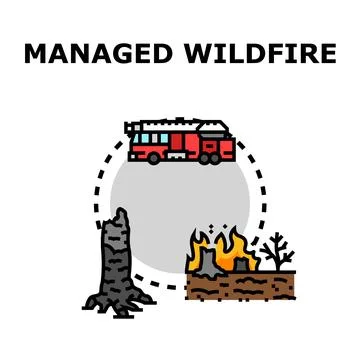 Managed wildfire prevention and emergency response strategy イラスト素材