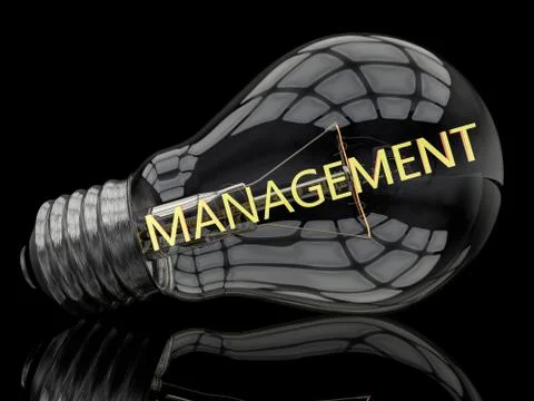 Management Illustrazione stock