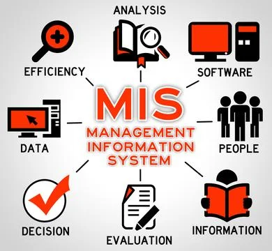 Management information system Stock-Illustration