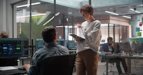 Manager and Developer Working on Computer in Office Stock Footage 321012132