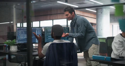 Manager and Developer Working on Computer in Office Stock Footage 321014546
