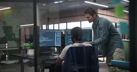Manager and Developer Working on Computer in Office Stock Footage 321014574