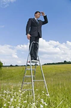 Manager auf der Leiter und schaut in die Landschaf Foto stock