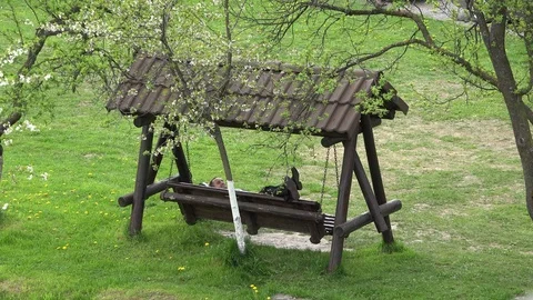 Manager laying down on wooden bench admire green spring nature Video stock 81422919