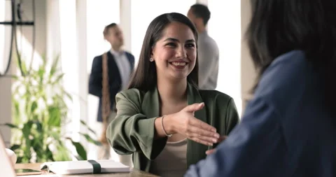 Manager make profitable deal handshake client finish formal meeting 스톡 동영상 281367291