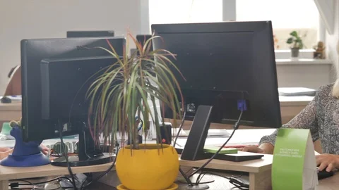 Manager office worker typing on the computer keyboard Video stock 98308189