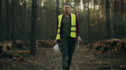 The manager of the sawmill is actively involved in the process of harvesting Stock Footage 272145938