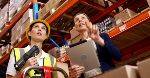 Manager showing something to worker Vidéo 64555404