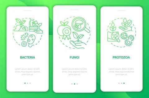 Managing soil microbes green gradient onboarding mobile app screen Stock Illustration