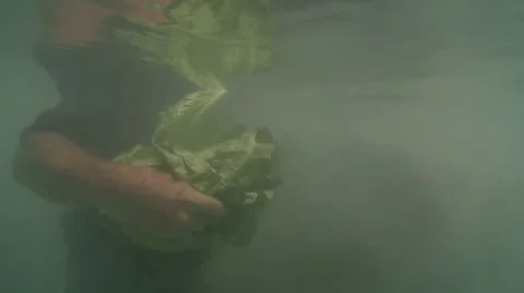 MANATEE - BAHAMAS Stock-Footage 5845693