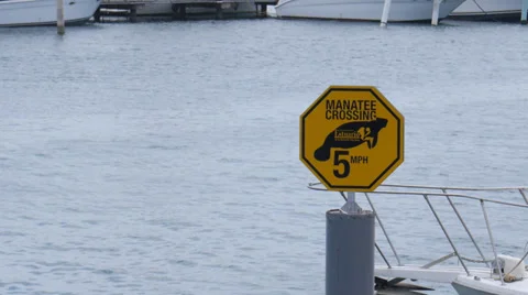 Manatee crossing sign Stock Footage 39345688